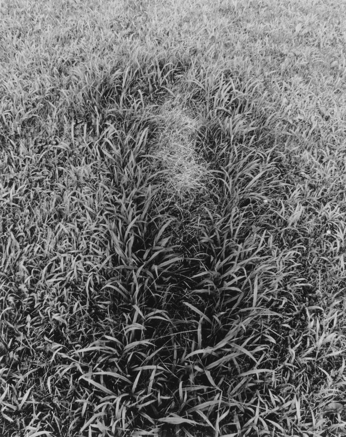 ana mendieta